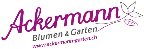 Ackermann Blumen & Garten